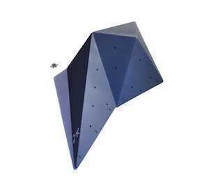 What is Berberine and How Does it Relate to Weight Loss?